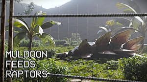 Muldoon Feeds Raptors