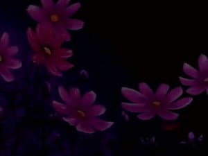 The Miracle Flower Key