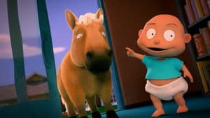 A Horse is a Horse