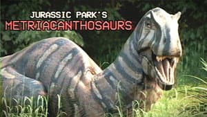 Metriacanthosaurs