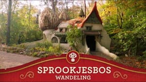 Episode 23