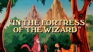 In the Fortress of the Wizard