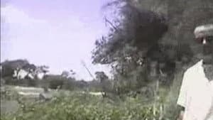 Africa