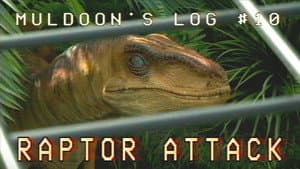 Raptor Attack