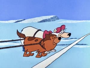 The Fastest Bear In The North