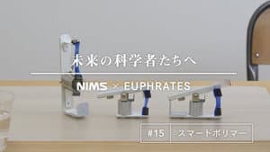 Episode 15
