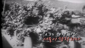 Episode 264