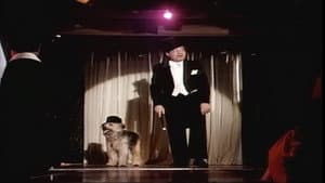 Me and My Shadow