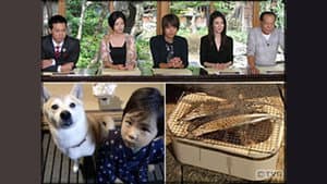 Episode 1.52