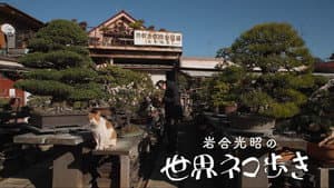 Episode 156