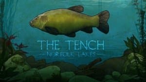 The Tench: Norfolk Lakes