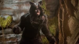 The Wicked Cat