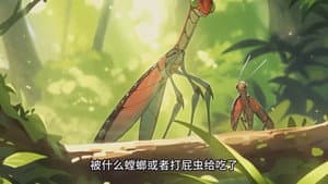 Episode 20