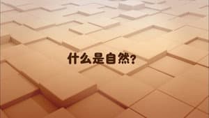 What does it mean to Learn Something?