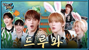 WHAT? DOOR! EP.33 | ~Come On In~ Rabbit vs. Turtle