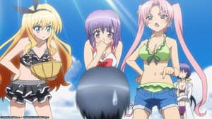 A Midsummer’s Love Triangle?