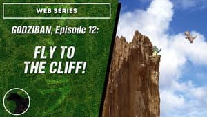 Fly to the Cliff!