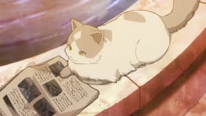 Life in the Castle Town & the Black Cat and the Adventurous Prince