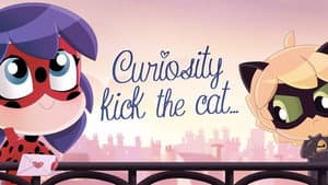 Curiosity Kicked the Cat