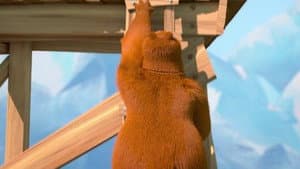 Treasure Bear