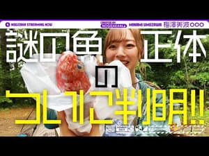 Episode 10