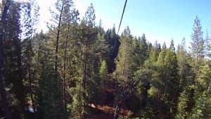 Temperate Rain Forest