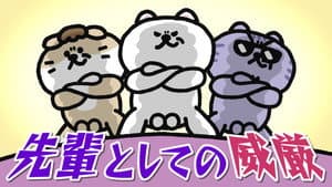 Episode 30