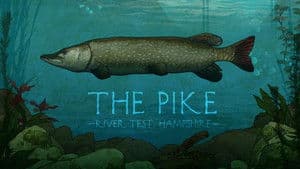 The Pike: River Test, Hampshire