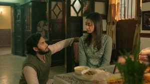 Do Kinaare, Do Sach, Do Zindagi