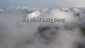 The Mind's Big Bang