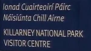 In which Manchán travels to Cork and Killarney