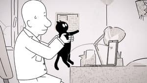 Cat vs. Video Call