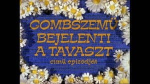 Gombszemű bejelenti a tavaszt