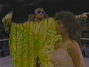 November 1, 1986 - Superstars of Wrestling #9