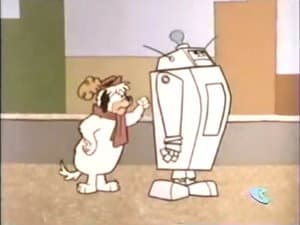 Mr. Robots