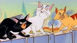 Cat Fight