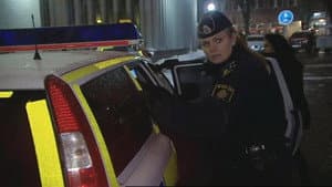 Del 1 av 12