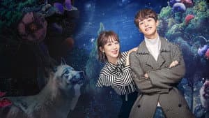 Episode 49