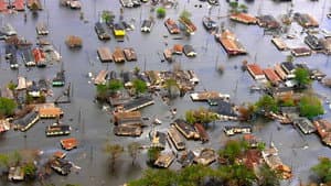 Tacoma Narrows and Hurricane Katrina