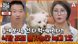 Episode 10