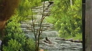 Quiet Stream