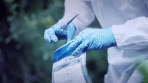 A Stream of Lies