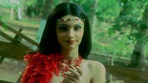 Vikraal Enters a Magical World