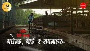 Gajendra, Gai ra Sapanaharu