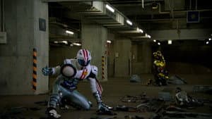 Why Must They Fight?
