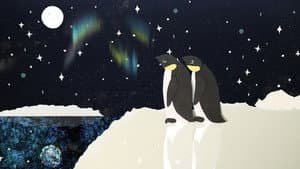 Aurora Australis