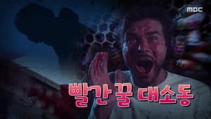Episode 1161