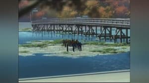 The Kyoto File (4)