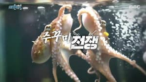 Episode 15