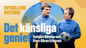 Det känsliga geniet